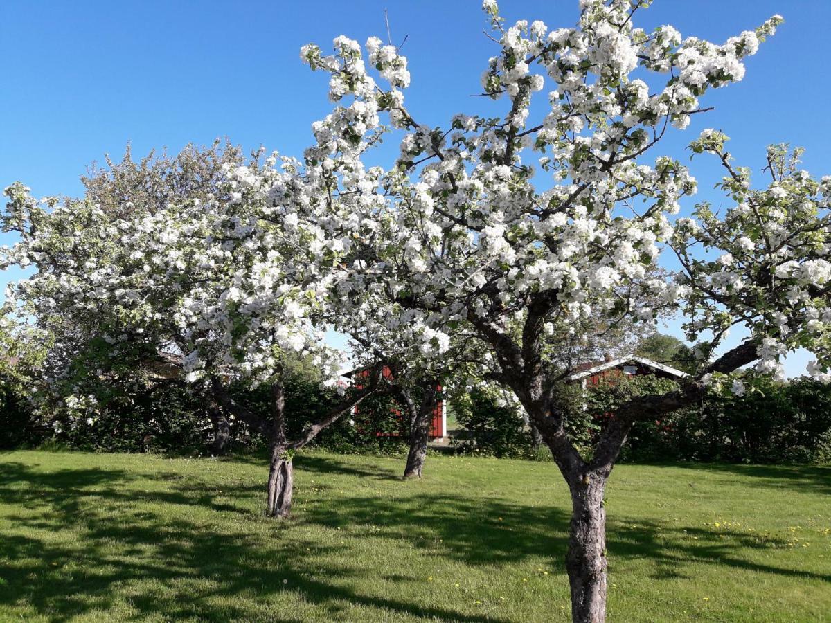 Vila Mellomgarden Norra Lundby Exteriér fotografie